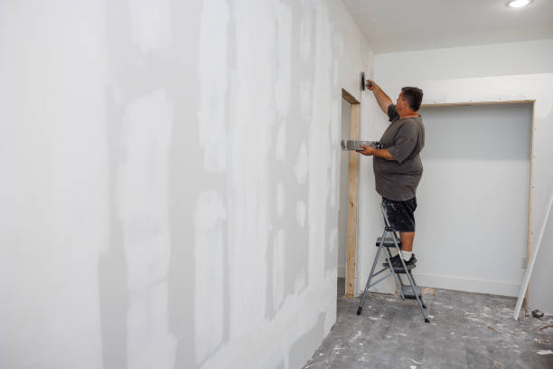 Best Mold Damage Restoration  in Blytheville, AR