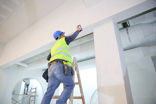 Best Air Quality Testing for Mold Spores  in Blytheville, AR