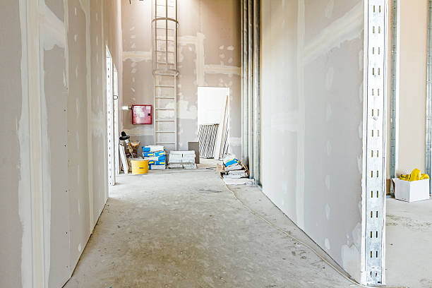 Best Comprehensive Air Testing for Mold Contaminants  in Blytheville, AR